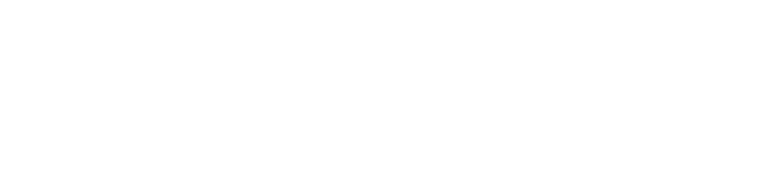 BD Bil logo white